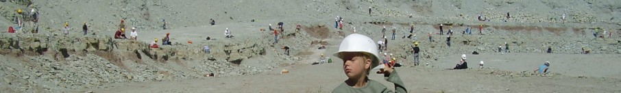 een steengroeve vol met fossielenjagers